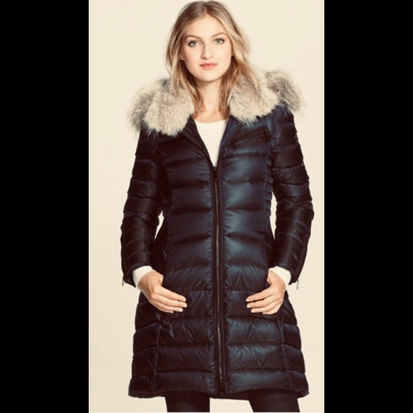 dawn levy bee down coat